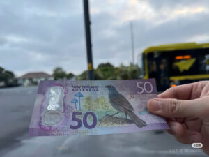 MONEY EXCHANGE NZD